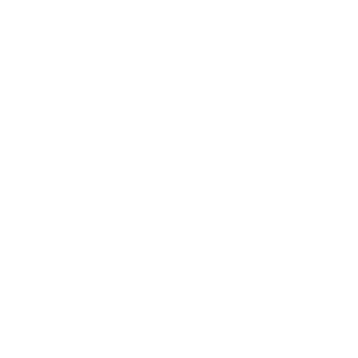 Ikon Customer Oriented